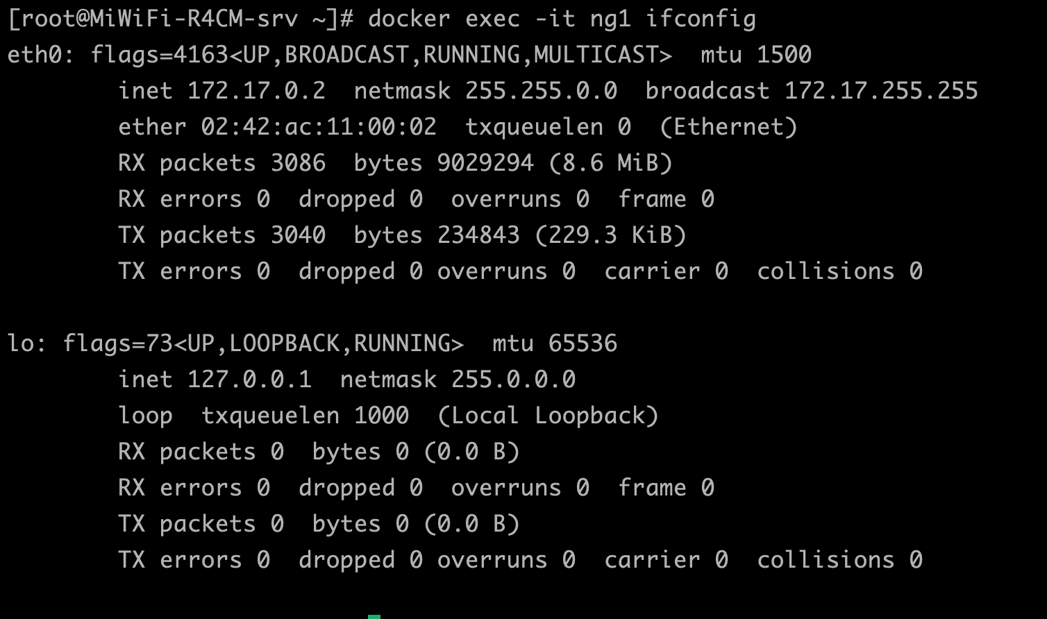 ipconfig