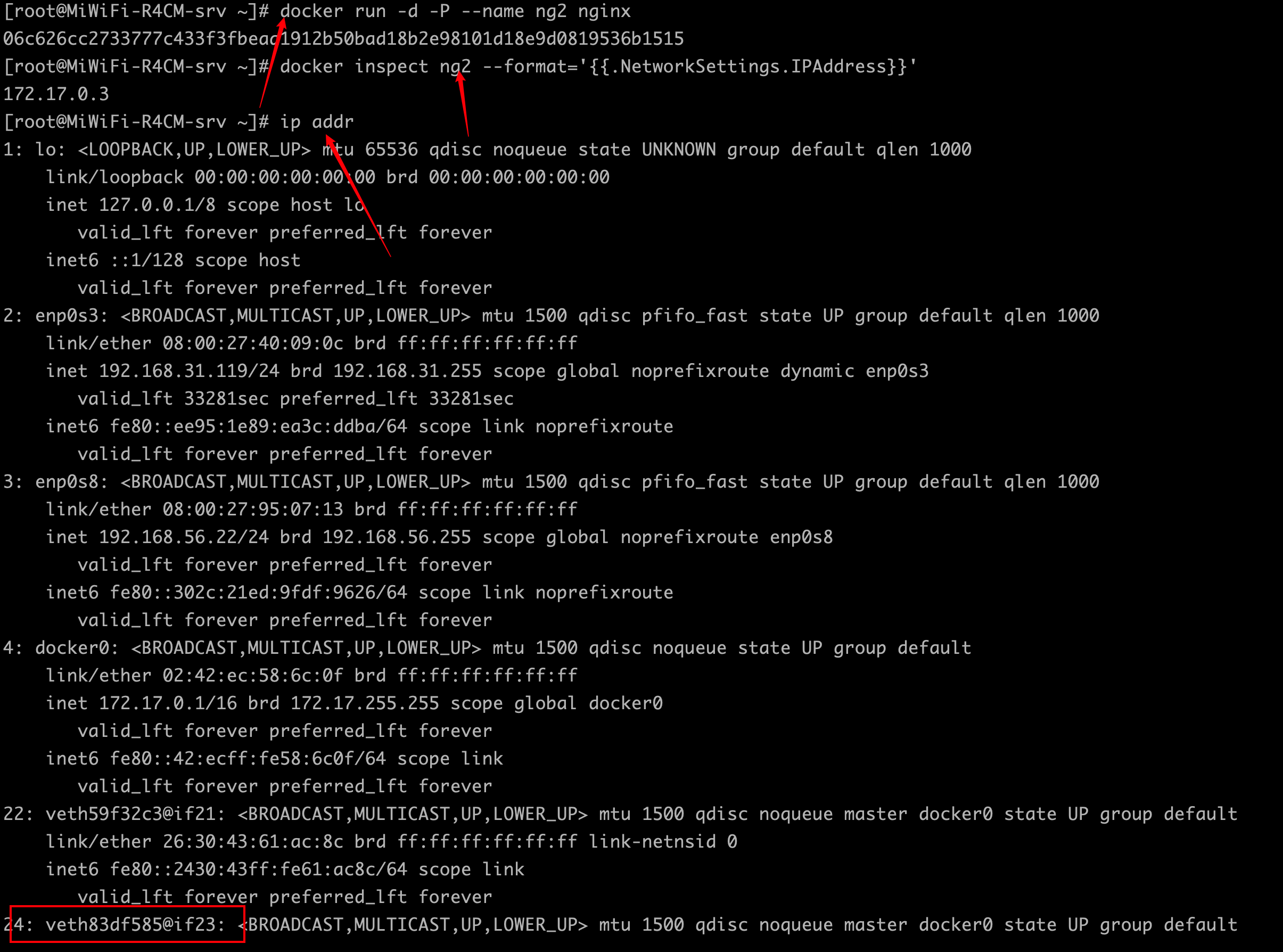 ip-addr2