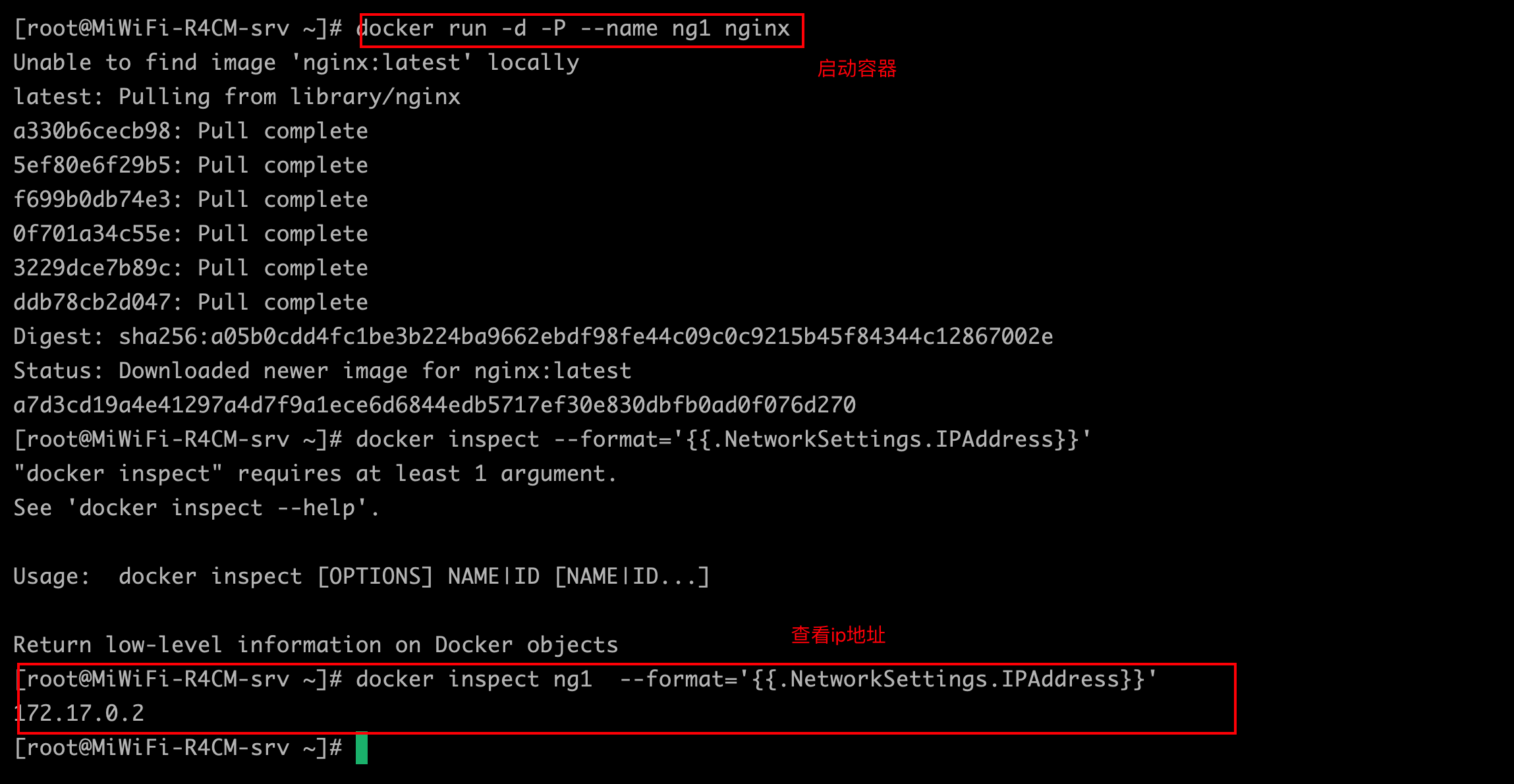 docker-container-network